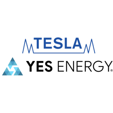 Tesla Asia Pacific Ltd's logo'