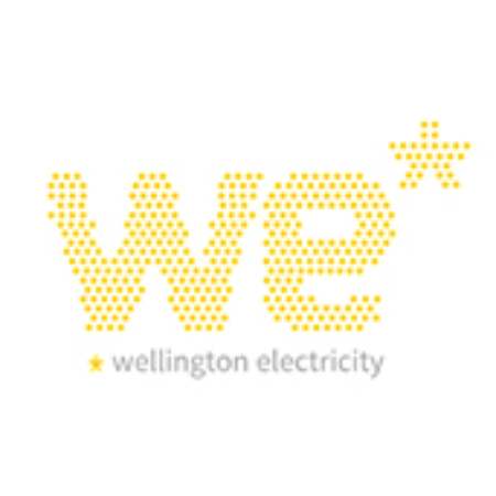 Wellington Electricity Lines Management's logo'